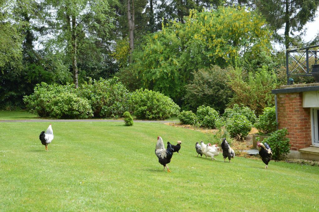 Bed and Breakfast La Grange Des Marettes Cléres Exteriér fotografie